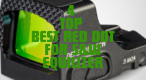 Best Red Dot for S&W Equilizer