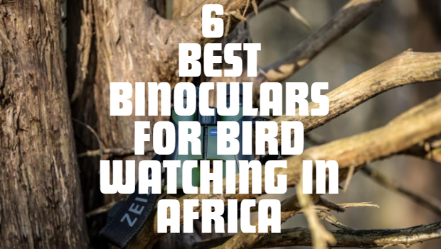 Best Binoculars for Bird Watching in Africa