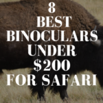 Best Binoculars Under $200 for Safari