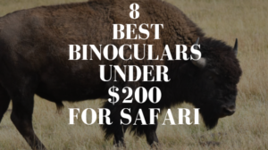Best Binoculars Under $200 for Safari