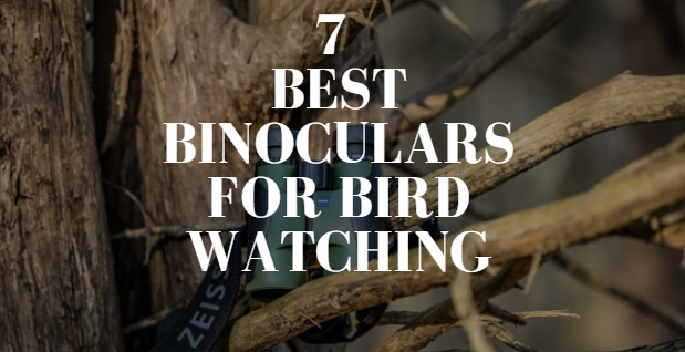 Binoculars for Bird Watching