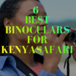 Best Binoculars for Kenya Safari