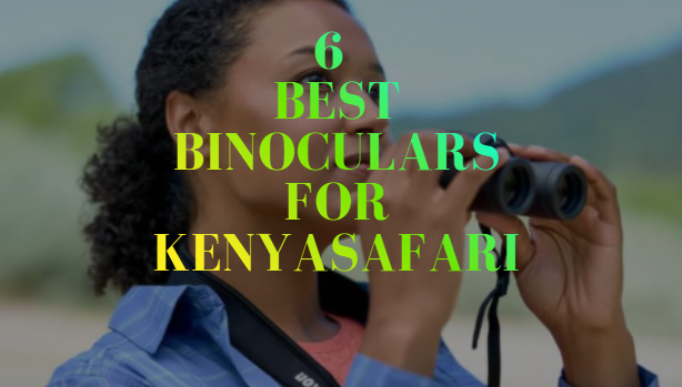 Best Binoculars for Kenya Safari